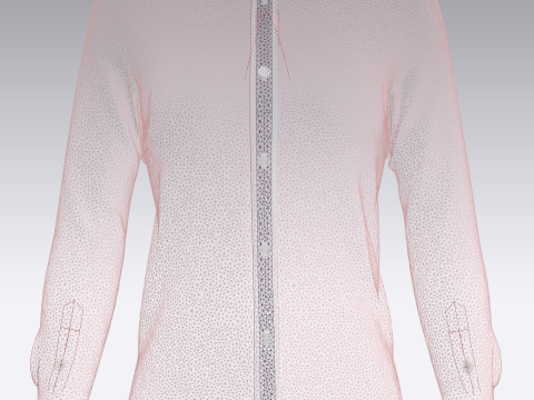 Ladies Pink Shirt Modèle 3D