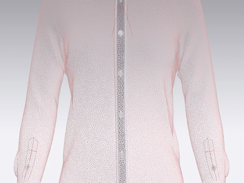 Ladies Pink Shirt 3D Model
