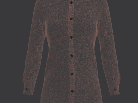 Ladies Print Woven Shirt 3D Model