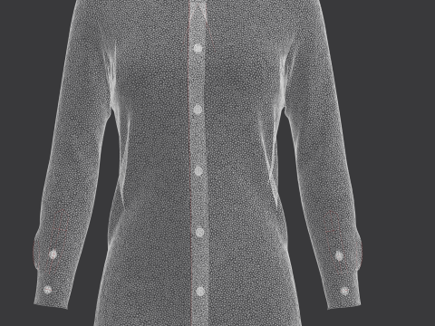 Ladies Print Shirt V1 3D Model