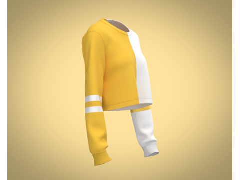 Girls Cropped Sweatshirt 3D Model