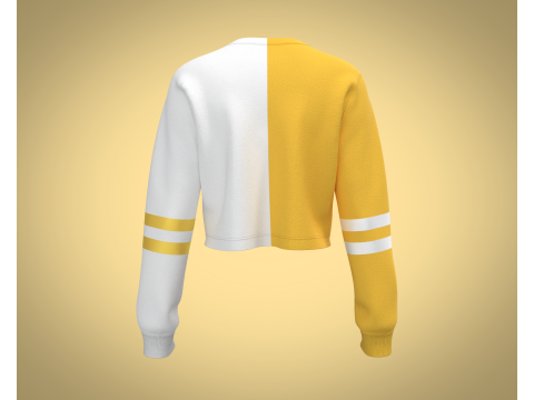 Girls Cropped Sweatshirt 3D Model