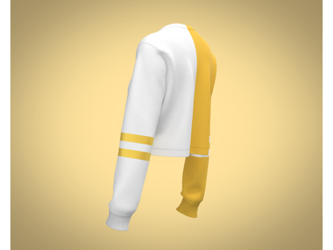 Girls Cropped Sweatshirt 3D Model