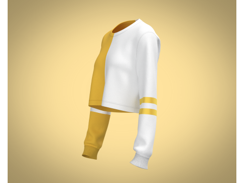 Girls Cropped Sweatshirt 3D Model