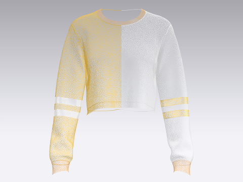 Girls Cropped Sweatshirt 3D Model