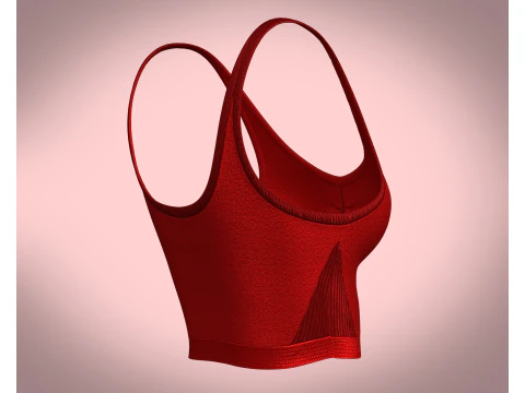 Suti&atilde; esportivo feminino - regatas Modelo 3D