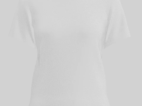 Ladies AOP Tops 3D Model