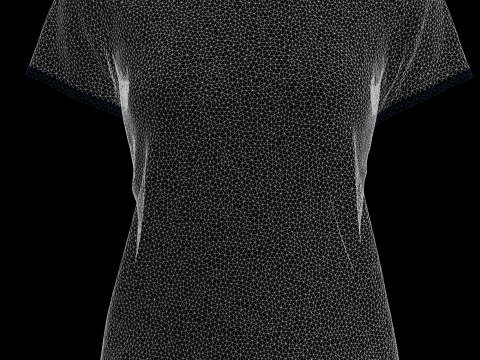Ladies Camo T-Shirt 3Dモデル