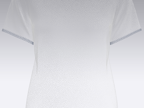 Ladies Blue Print Tops 3Dモデル