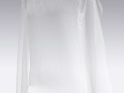 Girls - Iridescence Long Dress 3D Model