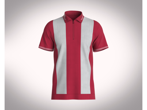 HALF-ZIP STRIPED POLO T-SHIRT 3D Model