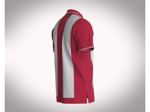 HALF-ZIP STRIPED POLO T-SHIRT Modelo 3D