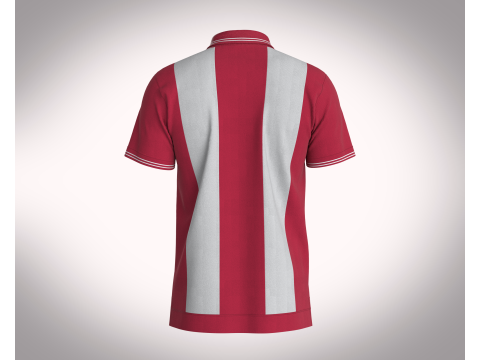 HALF-ZIP STRIPED POLO T-SHIRT Modelo 3D