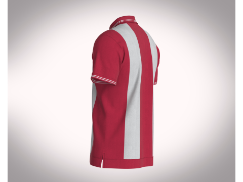 HALF-ZIP STRIPED POLO T-SHIRT Modelo 3D