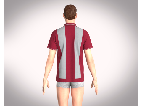 HALF-ZIP STRIPED POLO T-SHIRT Modelo 3D