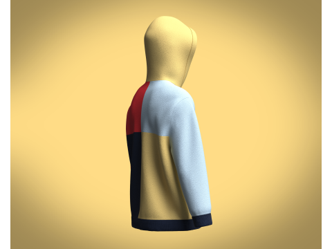 Hoodie Multi - Color 3D 모델