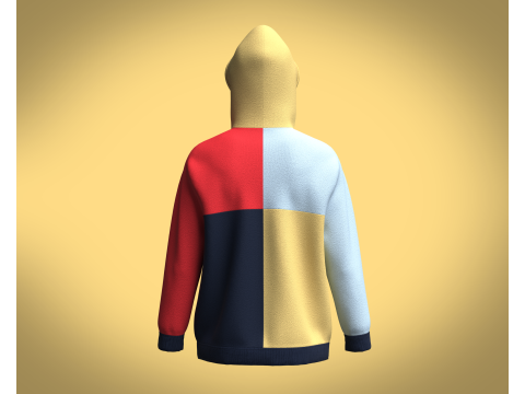 Hoodie Multi - Color 3D 모델