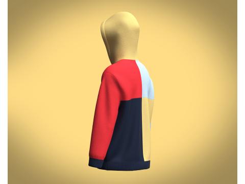 Hoodie Multi - Color 3D 모델