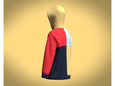 Hoodie Multi - Color 3D Model