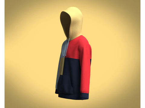 Hoodie Multi - Color 3D Model