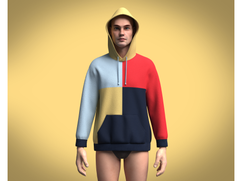 Hoodie Multi - Color 3D 모델