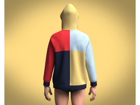 Hoodie Multi - Color 3D 모델