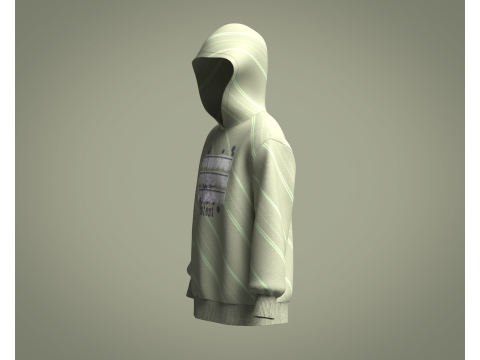 Hoodie - Protest Model 3D
