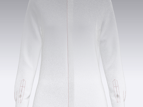 Ladies Full Sleeve Striped Print Shirt 3D 模型