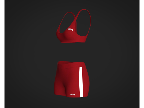 Ladies Bralette With Shorts 3D 모델