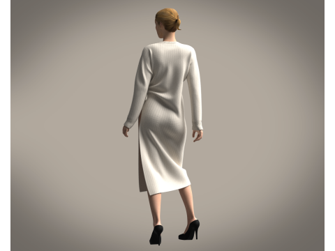 Ladies Long Sweater Modelo 3D