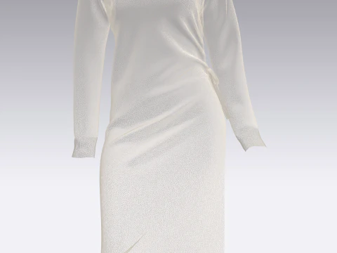 Ladies Long Sweater 3D Model