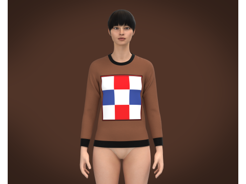 Ladies Long Sleeve Tops 3D Model