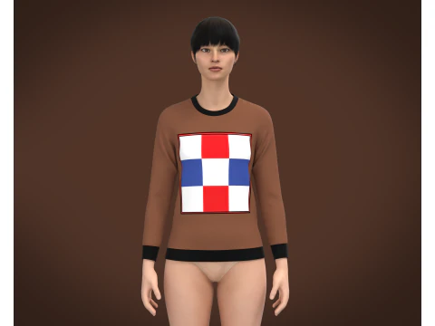 Ladies Long Sleeve Tops 3D Model