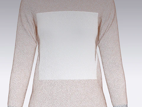 Ladies Long Sleeve Tops 3D Model