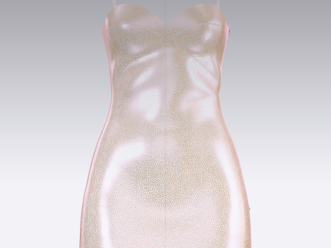 Women Partty Dress 3Dモデル