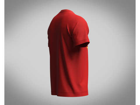 Tshirt - Lion Face 3Dモデル