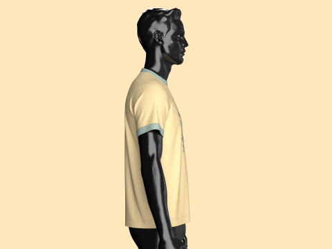 T-Shirt VERITAS 3D Model