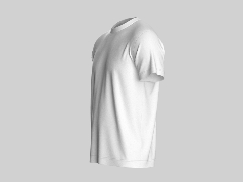 Regular Basic Tshirt 3D 模型