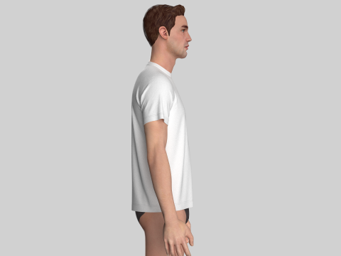 Regular Basic Tshirt 3D 模型