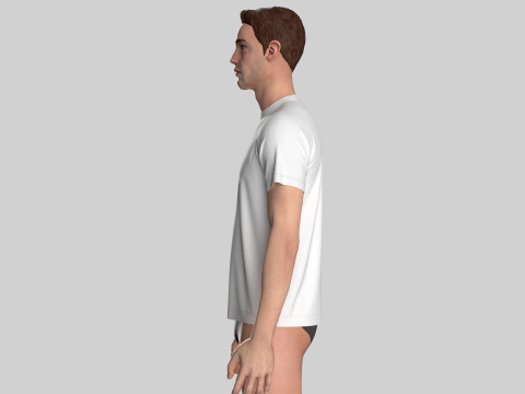 Regular Basic Tshirt 3D 模型