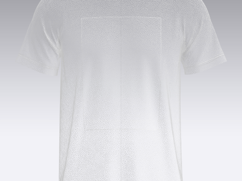T-Shirt With Print 3D-Modell