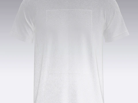 T-Shirt With Print 3D Model