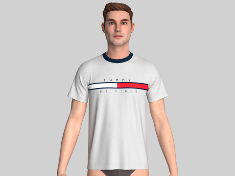 Tommy Hilfiger T-Shirt 3D Model