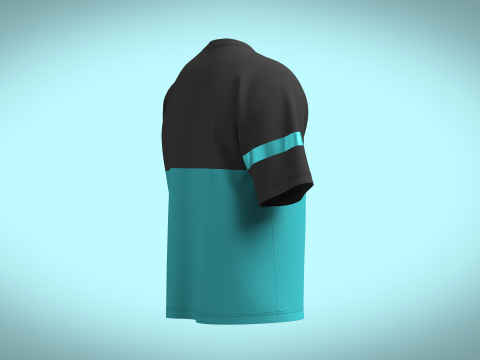 Unisex Colourblock Tshirt 3D 模型