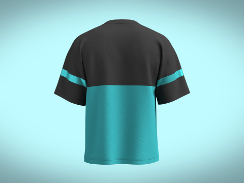 Unisex Colourblock Tshirt 3D 模型