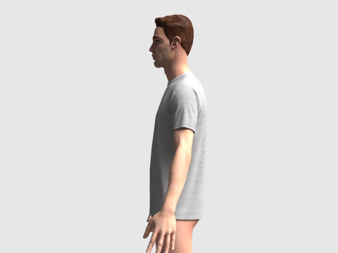 Basic Regular Tshirt 3D Model
