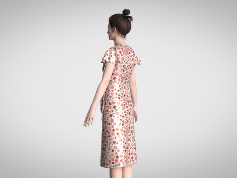 Ladies Wrap Dress 3D Model