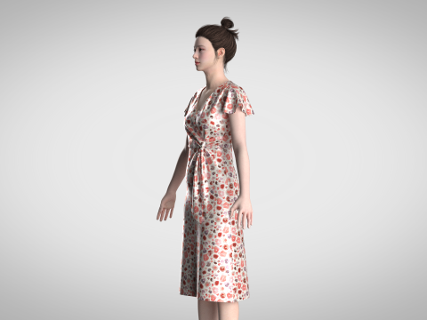 Ladies Wrap Dress 3D Model