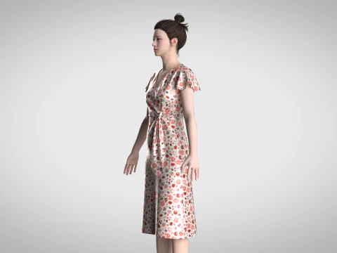 Ladies Wrap Dress 3D Model