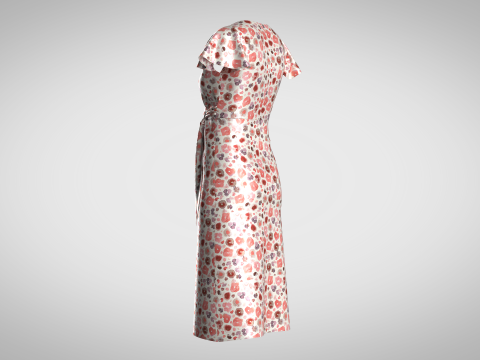 Ladies Wrap Dress 3D Model